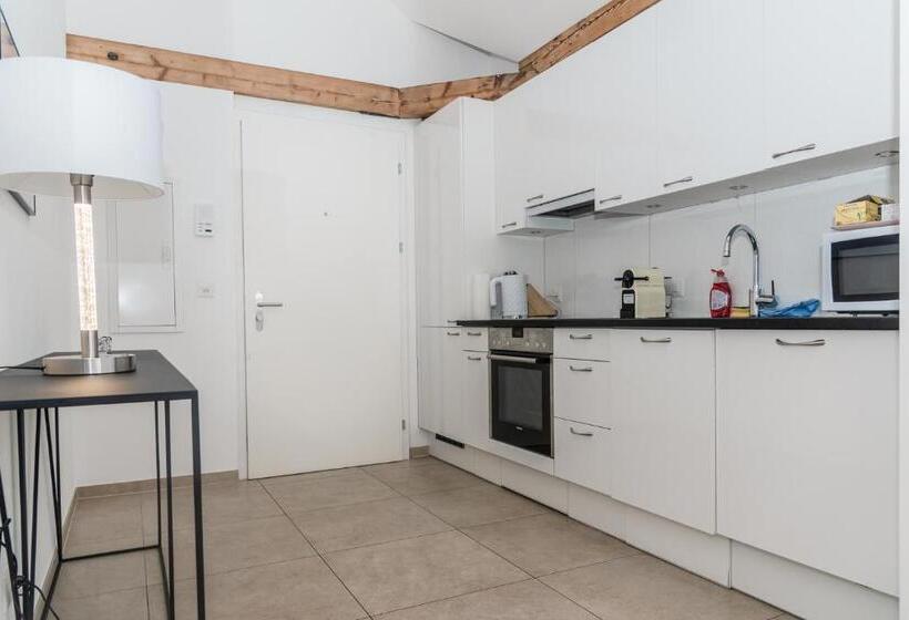 Apartament Deluxe 1 Dormitori, Zurich Furnished Homes
