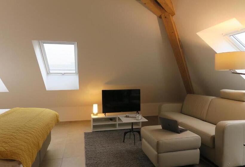 Estudio Estàndard, Zurich Furnished Homes