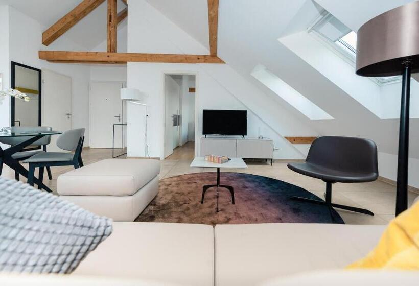 Apartament Superior 1 Dormitori, Zurich Furnished Homes