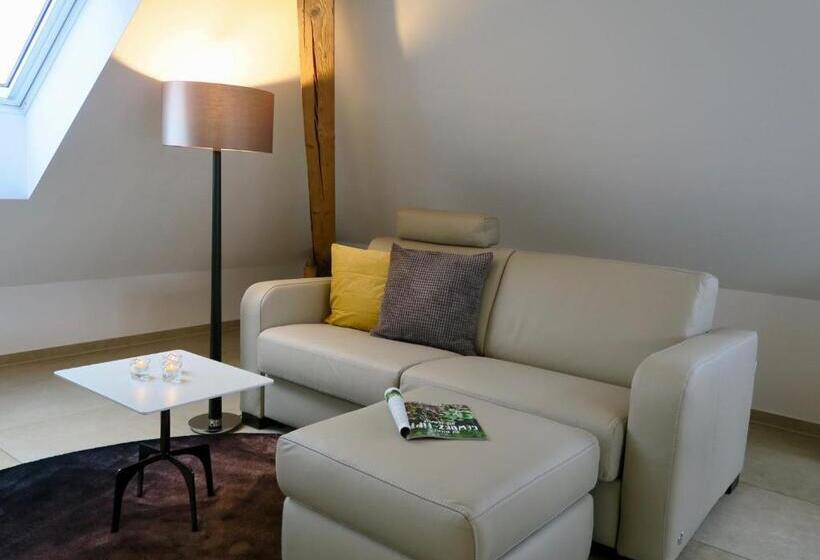 Apartament Superior 1 Dormitori, Zurich Furnished Homes