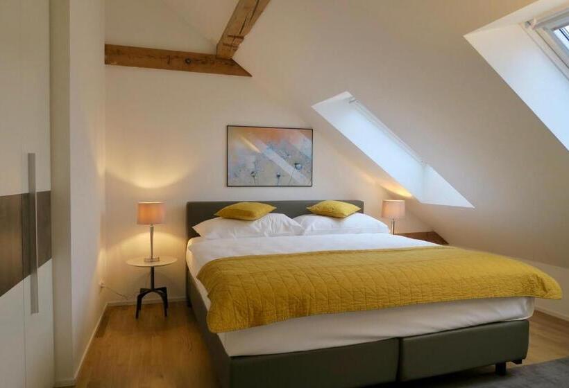 Apartament Superior 1 Dormitori, Zurich Furnished Homes