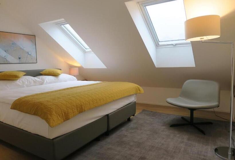 Apartament Superior 1 Dormitori, Zurich Furnished Homes