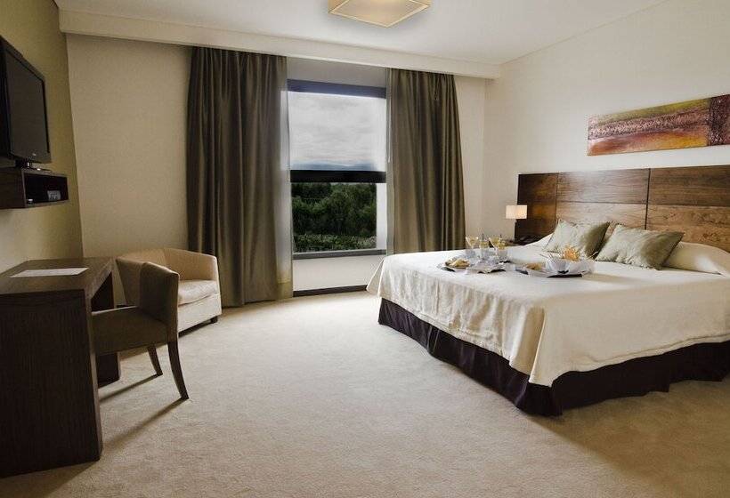 스탠다드 룸, Fuente Mayor Hotel & Casino