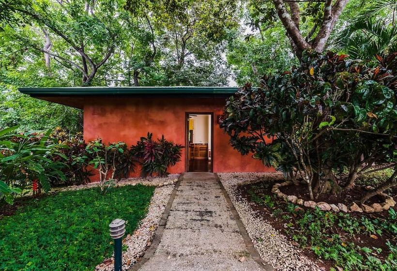 بنجلو قياسى, Boutique Hotel Luna Azul