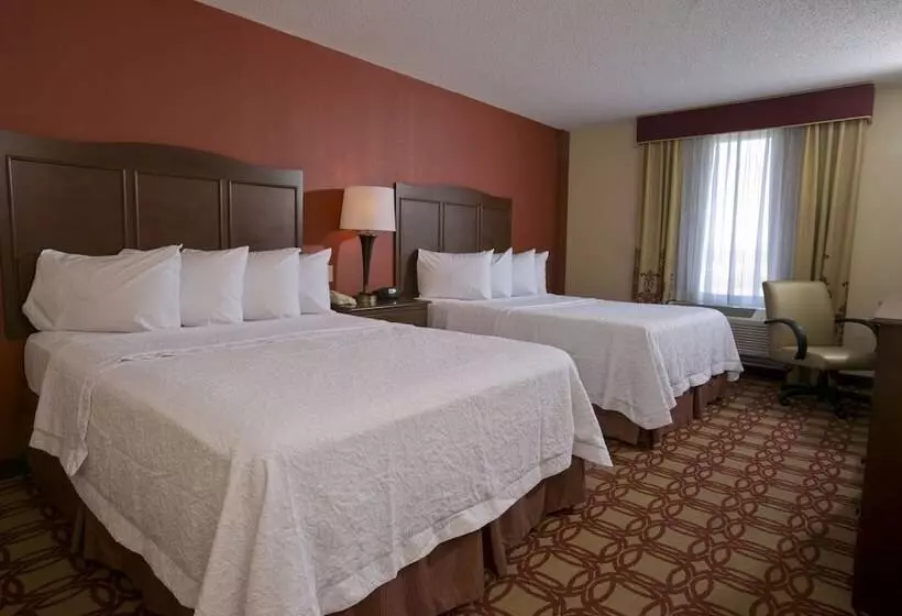 スタンダードルーム, Hampton Inn & Suites Wiggins