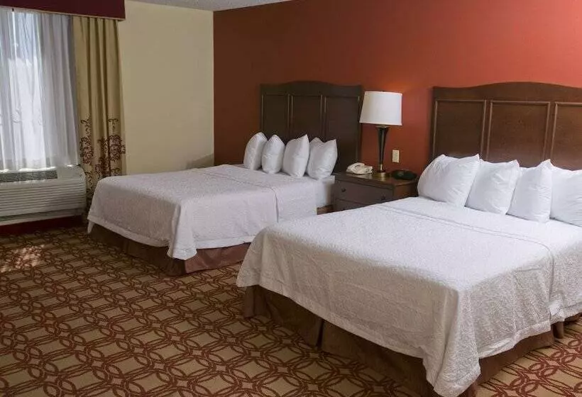 スタンダードルーム, Hampton Inn & Suites Wiggins