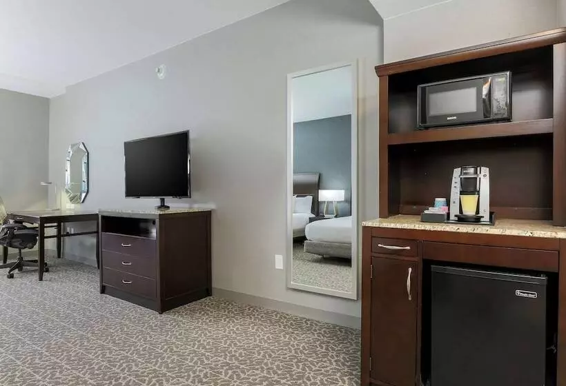 اتاق استاندارد با 2 تخت دوبل, Hilton Garden Inn Arlington Shirlington