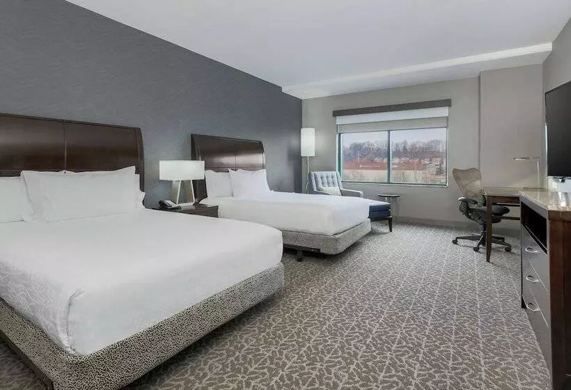 اتاق استاندارد با 2 تخت دوبل, Hilton Garden Inn Arlington Shirlington