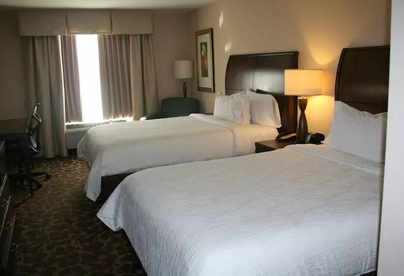 スタンダードルーム, Hilton Garden Inn Charlotte/concord