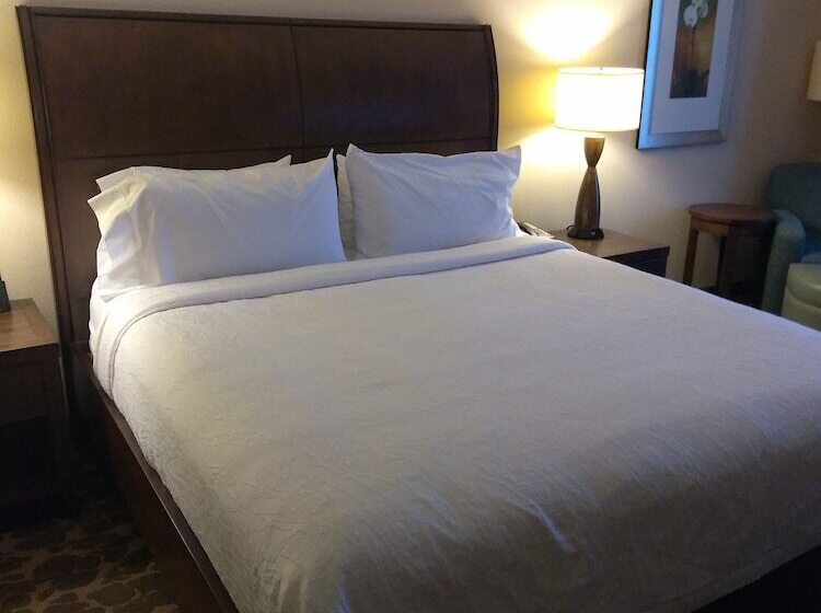 小型套房, Hilton Garden Inn Charlotte/concord