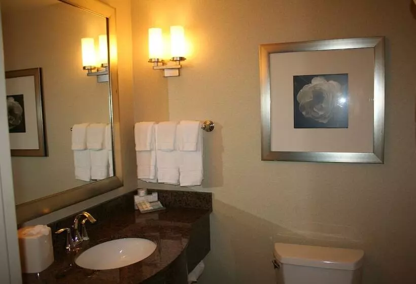 身障者適用スイートルーム, Hilton Garden Inn Charlotte/concord