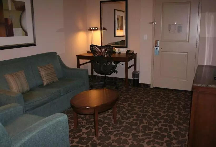 身障者適用スイートルーム, Hilton Garden Inn Charlotte/concord
