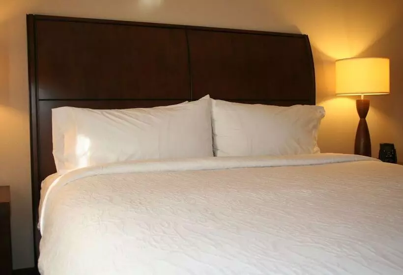 身障者適用スタンダードルーム, Hilton Garden Inn Charlotte/concord