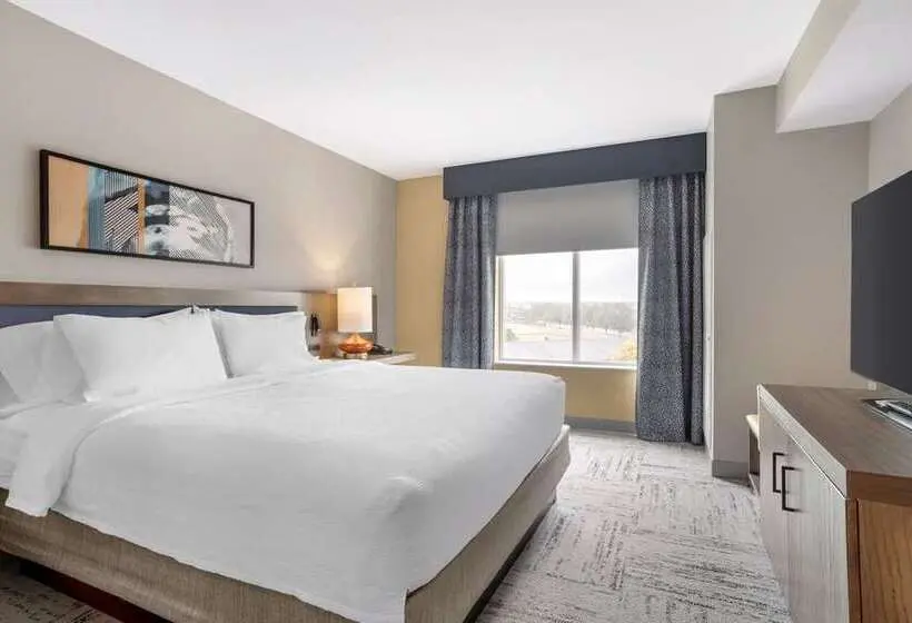 キングサイズベッドのジュニアスイート, Hilton Garden Inn Charlotte/concord