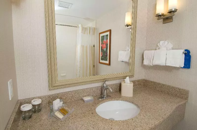 キングサイズベッドのスイートルーム, Hilton Garden Inn Troy
