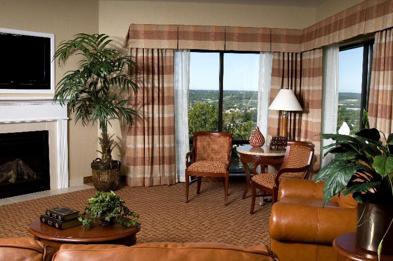 キングサイズベッドのスイートルーム, Hilton Garden Inn Troy