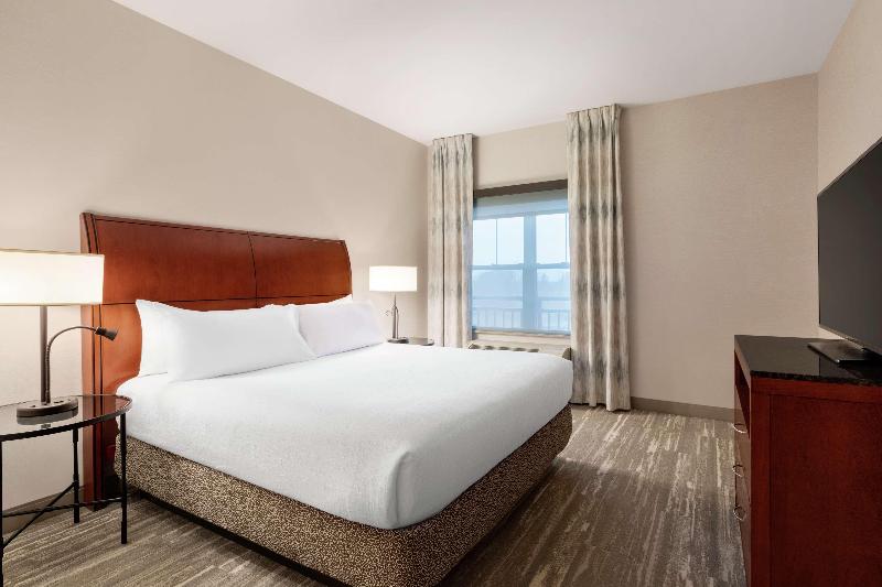 キングサイズベッドのスイートルーム, Hilton Garden Inn Troy