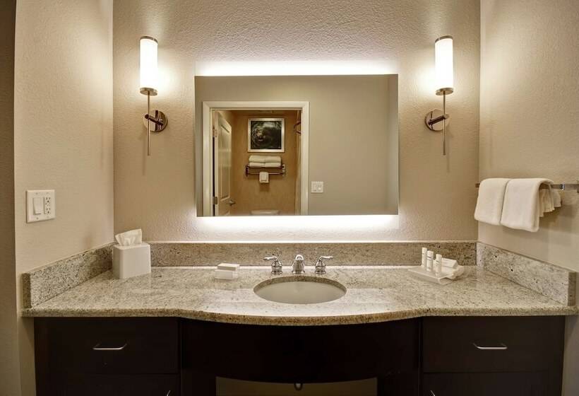 جناح لذوى الاحتياجات الخاصة, Homewood Suites By Hilton Tampaport Richey