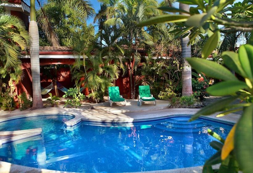 豪华房间, Rip Jack Inn