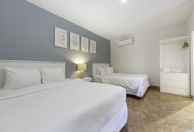 豪华房间, Rip Jack Inn