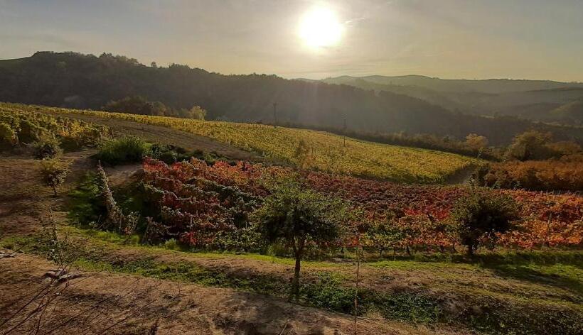 适合残疾人士使用的带超级大床的标准间, B&b Mermaid N 16/a