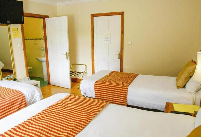 חדר דלוקס לשלושה עם נו לגינה, Rockfield Manor B&b, Knock