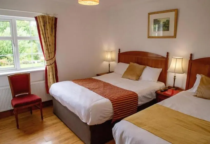 スタンダードルーム, Rockfield Manor B&b, Knock
