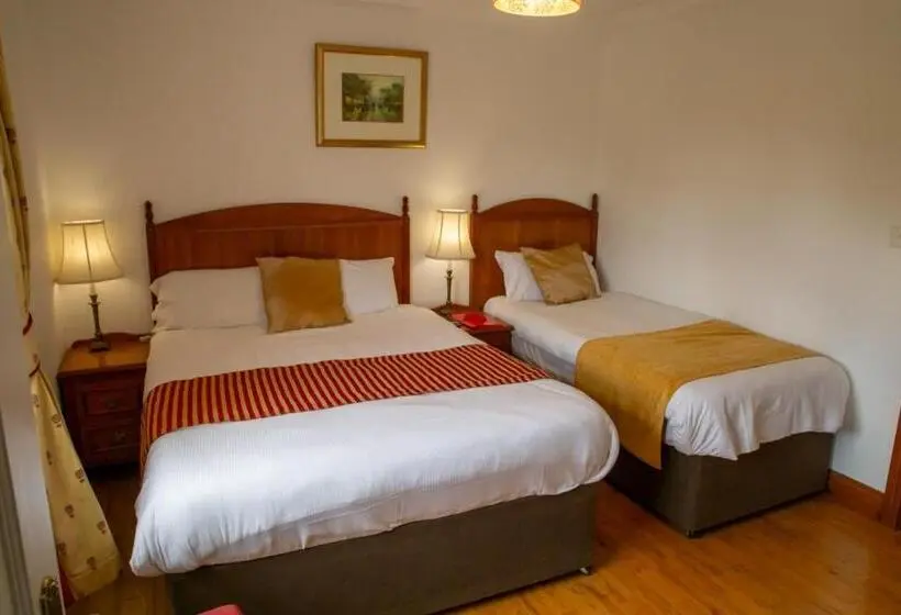 スタンダードルーム, Rockfield Manor B&b, Knock