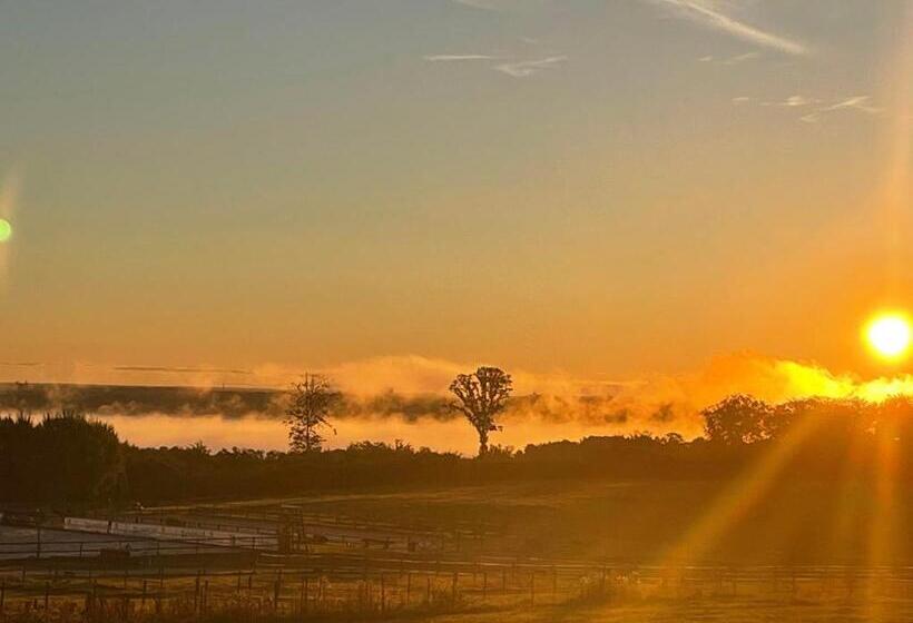 غرفة إقتصادية, Low Budget Bungalows