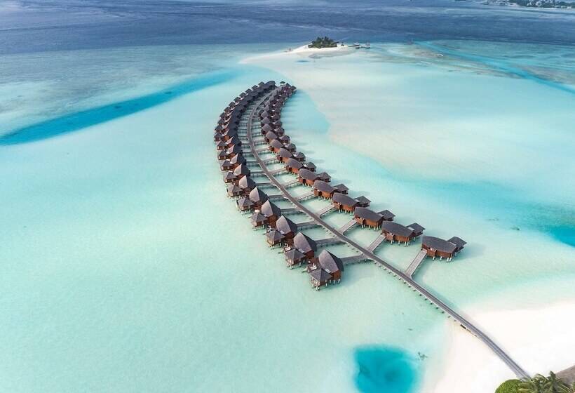 سوییت, Anantara Dhigu Maldives Resort Complimentary Round Trip Transportation For Minimum Stay Of 3 Night