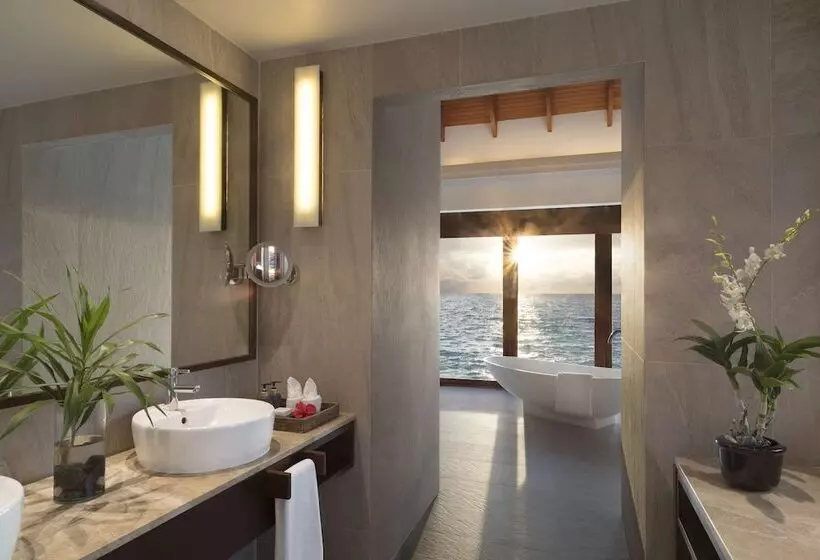 Suite with Pool