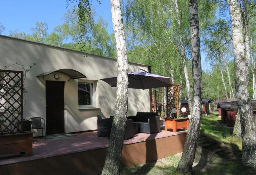 スタンダードスタジオ, Fala Na Wyspie