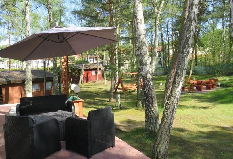 スタンダードスタジオ, Fala Na Wyspie