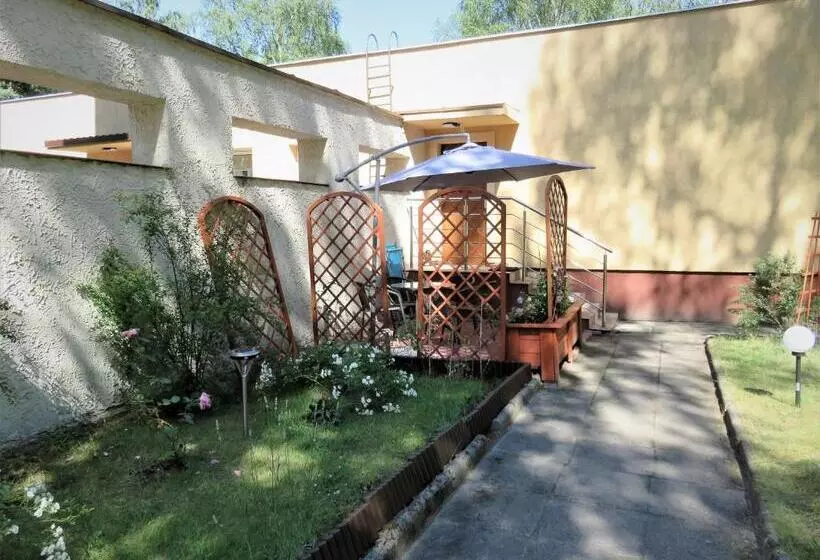 Family Studio