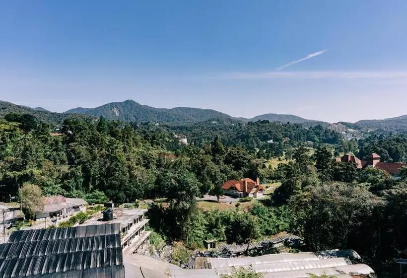 سوییت جونیور, De La Ferns, Cameron Highlands