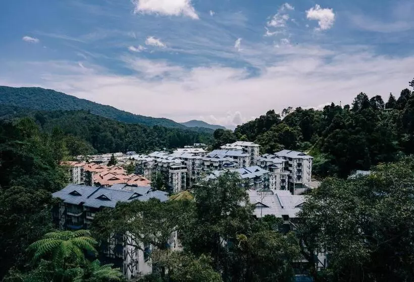 سوییت جونیور, De La Ferns, Cameron Highlands