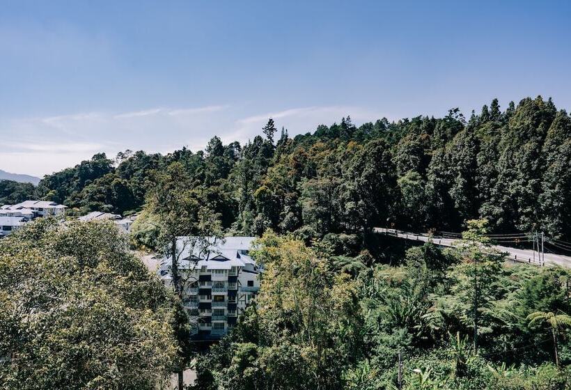 جناح عائلي, De  La Ferns, Cameron Highlands