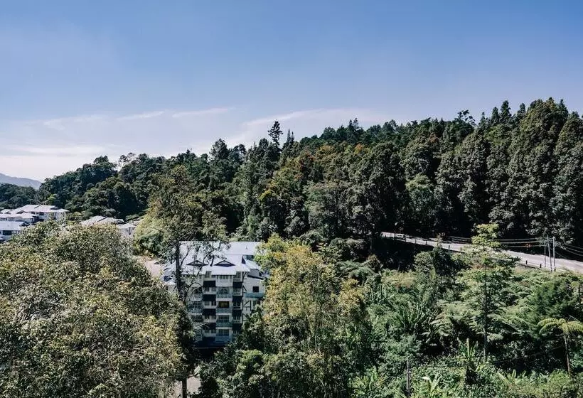 سوییت خانوادگی, De La Ferns, Cameron Highlands