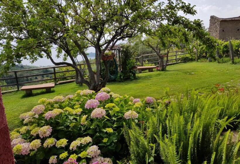 オーシャンビュースタンダードルーム, B&b La Sirenetta