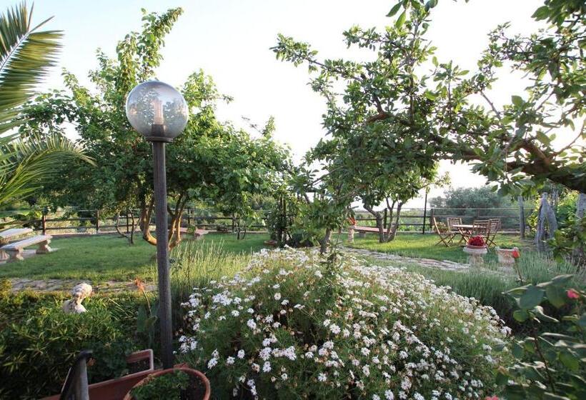 オーシャンビュースタンダードルーム, B&b La Sirenetta