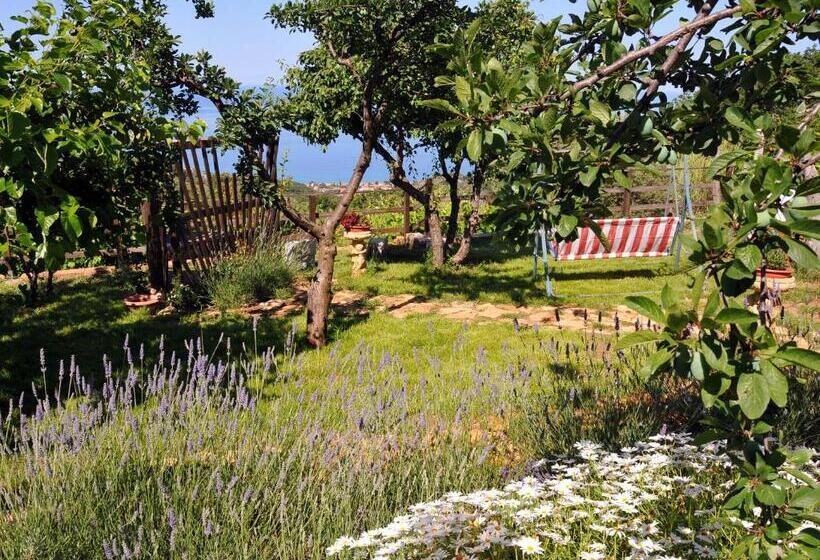 オーシャンビュースタンダードルーム, B&b La Sirenetta