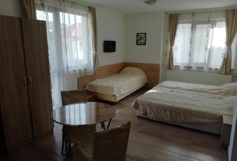 غرفة قياسية مزوَّدة بشُرفة, Iceberg