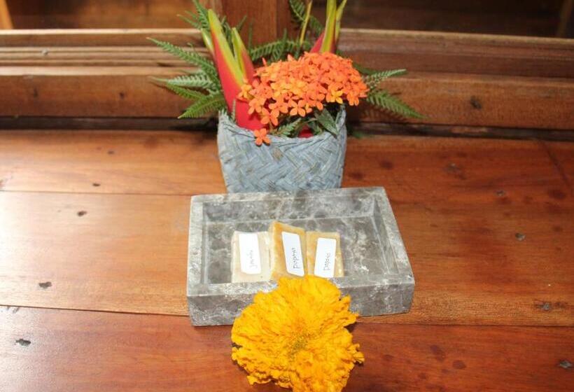 בקתה סטנדרטית, Geopark Village