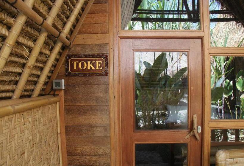 חדר אקונומי, Geopark Village