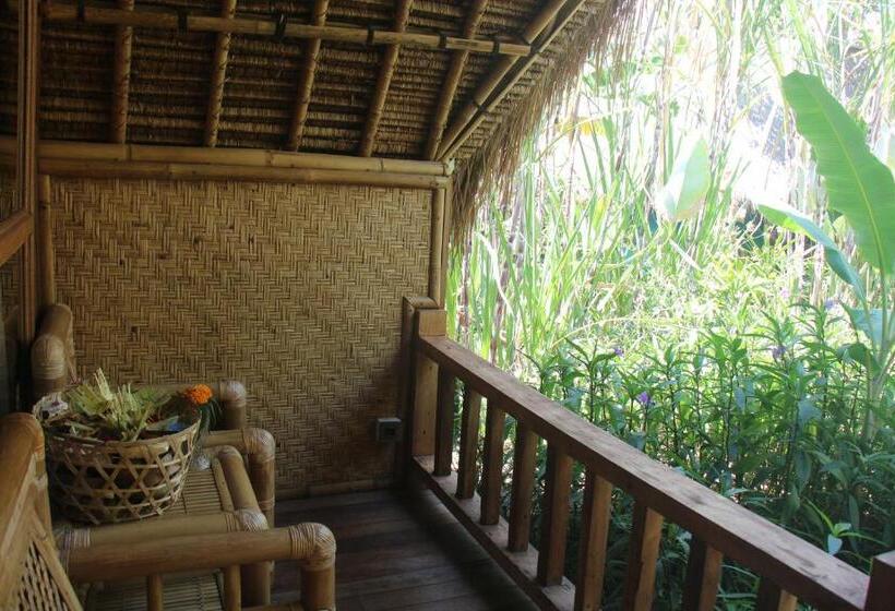 חדר אקונומי, Geopark Village