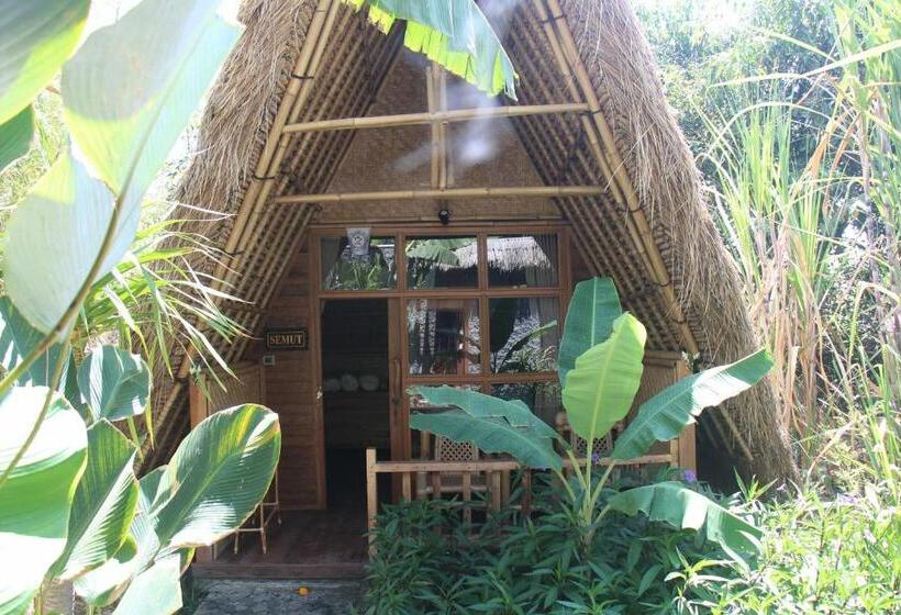 חדר אקונומי, Geopark Village