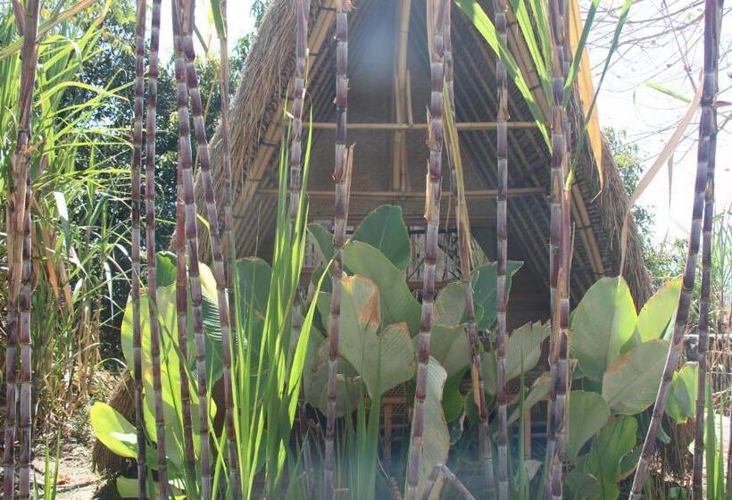 חדר אקונומי, Geopark Village