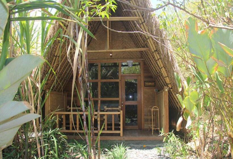 חדר אקונומי, Geopark Village