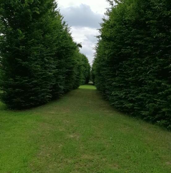 غرفة ديلوكس, Il Selese