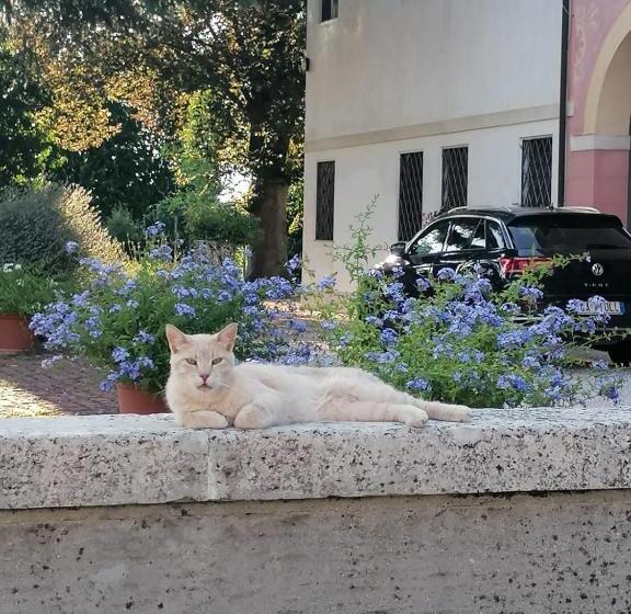 غرفة قياسية, Il Selese